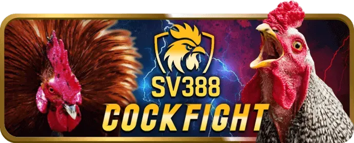 Bắn cá J88